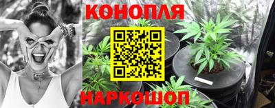 гидра Донецк