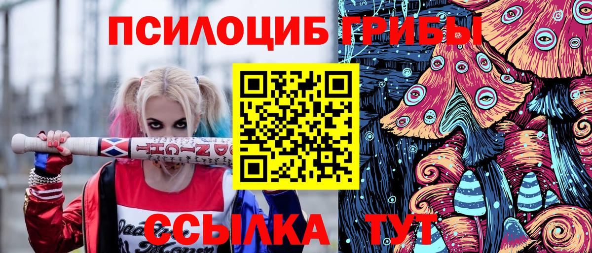 APVP Новодвинск