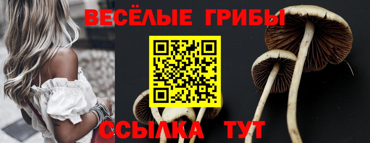 Галлюциногенные грибы мухоморы Новодвинск