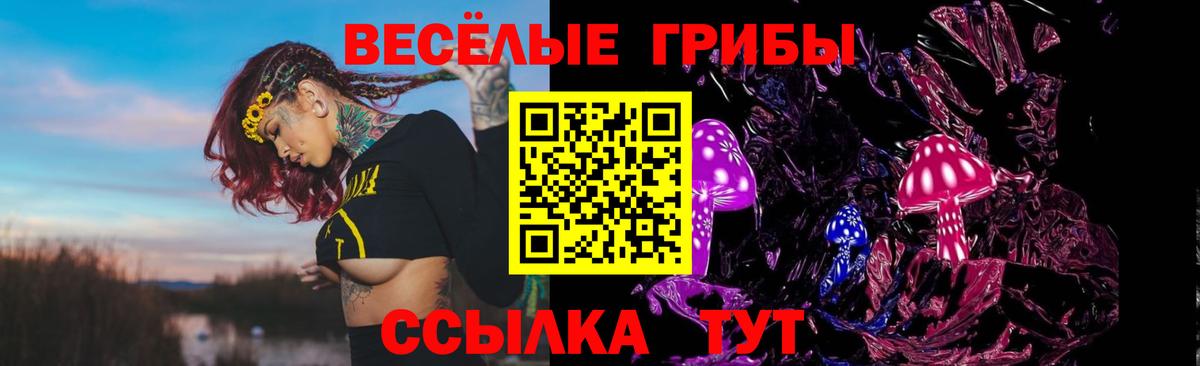 Псилоцибиновые грибы прущие грибы  Галлюциногенные грибы прущие грибы  Новодвинск 